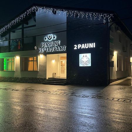 Pensiune Restaurant Pizzerie 2 Pauni Borsa  Bagian luar foto