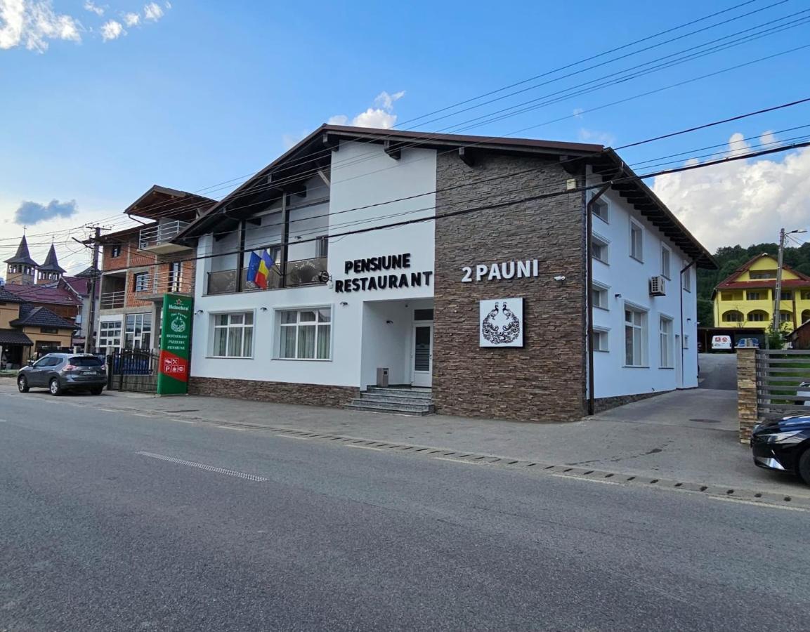 Pensiune Restaurant Pizzerie 2 Pauni Borsa  Bagian luar foto